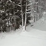 La Bresse, 5 Pièces, 11 Personnes - Fr-1-589-86 * La Bresse