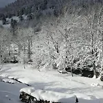 La Bresse, 5 Pièces, 11 Personnes - Fr-1-589-86 Hébergement de vacances *