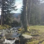Hébergement de vacances La Bresse, 5 Pièces, 11 Personnes - Fr-1-589-86 *