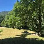 La Bresse, 5 Pièces, 11 Personnes - Fr-1-589-86 *
