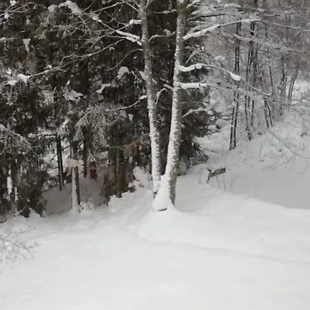 Confortable, Proche Des Pistes De Ski, Avec Jardin, Terrasses Couvertes Et Wi-fi A - Fr-1-589-86 * La Bresse