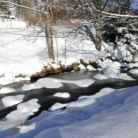 Holiday home Confortable, Proche Des Pistes De Ski, Avec Jardin, Terrasses Couvertes Et Wi-fi A - Fr-1-589-86 La Bresse