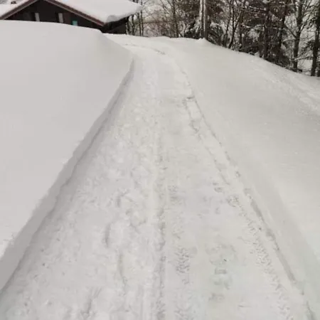 Confortable, Proche Des Pistes De Ski, Avec Jardin, Terrasses Couvertes Et Wi-fi A - Fr-1-589-86 * La Bresse