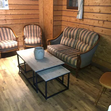 Confortable, Proche Des Pistes De Ski, Avec Jardin, Terrasses Couvertes Et Wi-fi A - Fr-1-589-86 * La Bresse