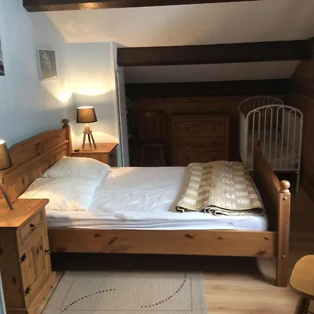 別荘 Confortable, Proche Des Pistes De Ski, Avec Jardin, Terrasses Couvertes Et Wi-fi A - Fr-1-589-86