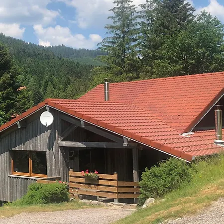 Confortable, Proche Des Pistes De Ski, Avec Jardin, Terrasses Couvertes Et Wi-fi A - Fr-1-589-86 Holiday home La Bresse