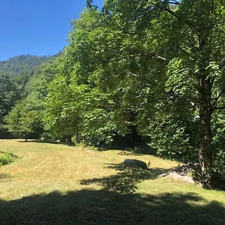 Confortable, Proche Des Pistes De Ski, Avec Jardin, Terrasses Couvertes Et Wi-fi à - Fr-1-589-86 *