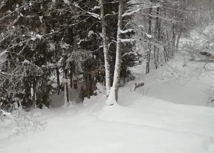 Confortable, Proche Des Pistes De Ski, Avec Jardin, Terrasses Couvertes Et Wi-fi A - Fr-1-589-86 * La Bresse