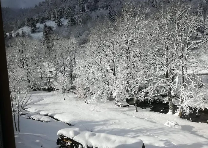 Confortable, Proche Des Pistes De Ski, Avec Jardin, Terrasses Couvertes Et Wi-fi A - Fr-1-589-86 Prázdninový dům *