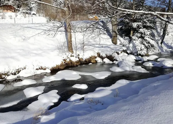 Prázdninový dům Confortable, Proche Des Pistes De Ski, Avec Jardin, Terrasses Couvertes Et Wi-fi A - Fr-1-589-86 La Bresse