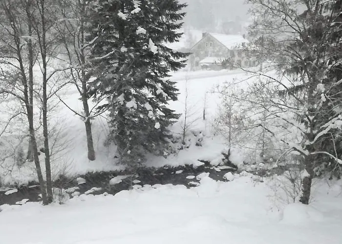 Prázdninový dům Confortable, Proche Des Pistes De Ski, Avec Jardin, Terrasses Couvertes Et Wi-fi A - Fr-1-589-86 La Bresse