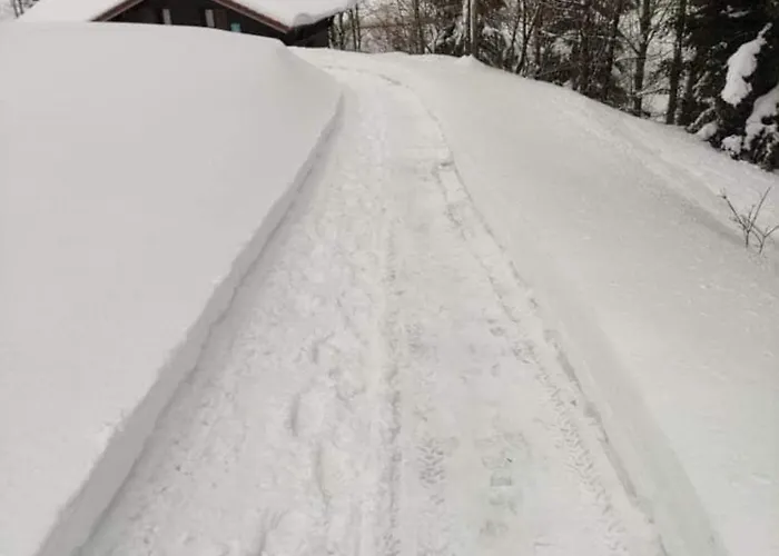 Confortable, Proche Des Pistes De Ski, Avec Jardin, Terrasses Couvertes Et Wi-fi A - Fr-1-589-86 * La Bresse