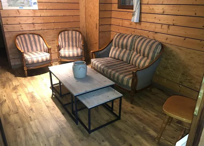 Confortable, Proche Des Pistes De Ski, Avec Jardin, Terrasses Couvertes Et Wi-fi A - Fr-1-589-86 * La Bresse