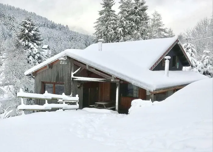 Prázdninový dům Confortable, Proche Des Pistes De Ski, Avec Jardin, Terrasses Couvertes Et Wi-fi A - Fr-1-589-86 La Bresse