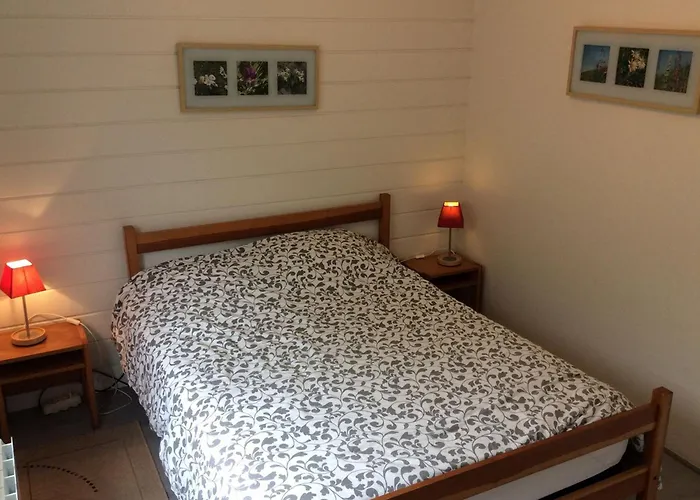 Prázdninový dům Confortable, Proche Des Pistes De Ski, Avec Jardin, Terrasses Couvertes Et Wi-fi A - Fr-1-589-86 *