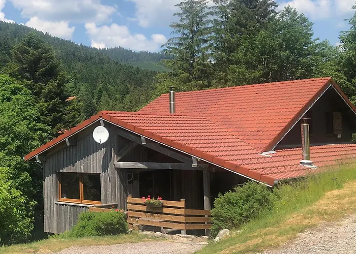 Confortable, Proche Des Pistes De Ski, Avec Jardin, Terrasses Couvertes Et Wi-fi A - Fr-1-589-86 Prázdninový dům La Bresse