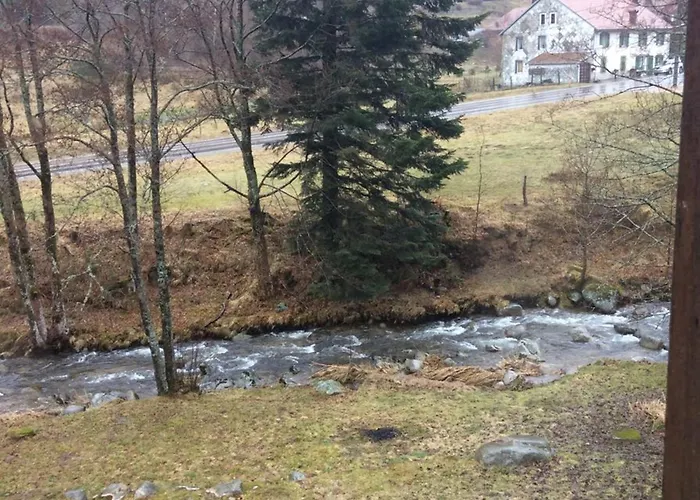 La Bresse, 5 Pièces, 11 Personnes - Fr-1-589-86 Hébergement de vacances *